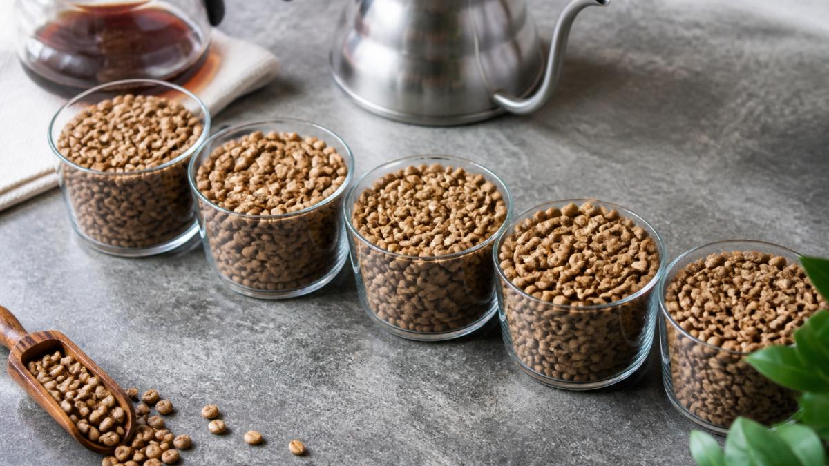 5 Best Light Roast Coffee Beans for Beginners