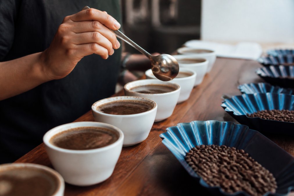 How to Identify Coffee Tasting Notes for Beginners