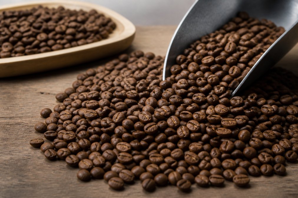 How to Identify Truly Fresh Coffee Beans: 2026 Guide